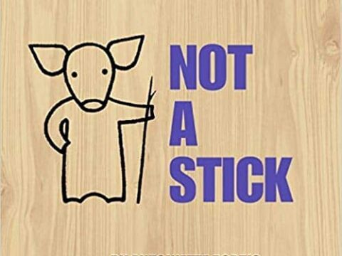 Image for Not a Stick: Ordinary Objects Inspire Free Thinking